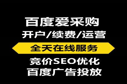 竞价广告的投放技巧与网络推广的实践